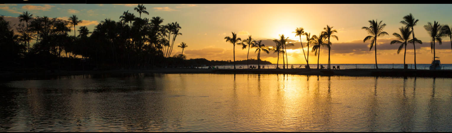 Florida palm trees along the water at sunset